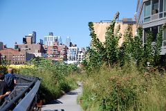 13 Flowers And Plants On New York High Line Near W 16 St